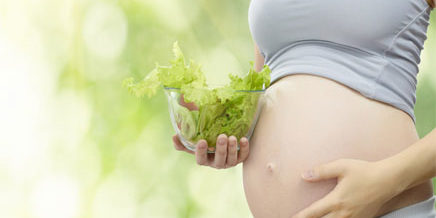 Διατροφή στην Εγκυμοσύνη Η διατροφή μιας υγιούς, ενήλικης κοπέλας στην εγκυμοσύνη αφορά σε έναν υγιεινό τρόπο διατροφής ενώ πρέπει να δίνετε έμφαση σε ορισμένα θρεπτικά συστατικά.