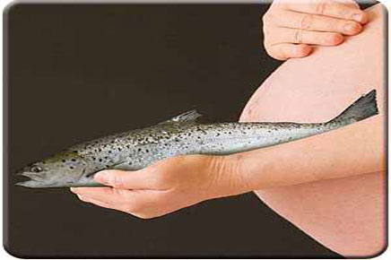 Τα επίπεδα υδραργύρου μέσω της κατανάλωσης ψαριών στην εγκυμοσύνη