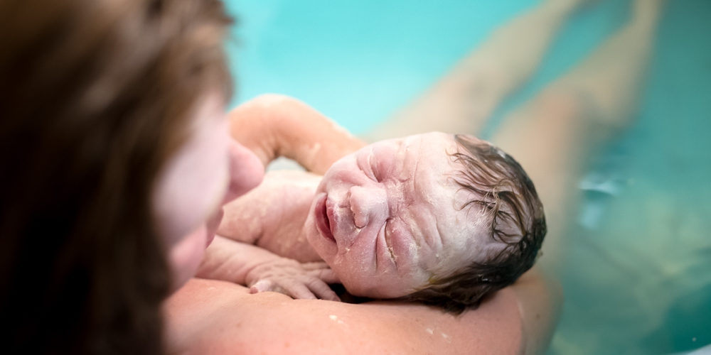 toketos-nero-simainei