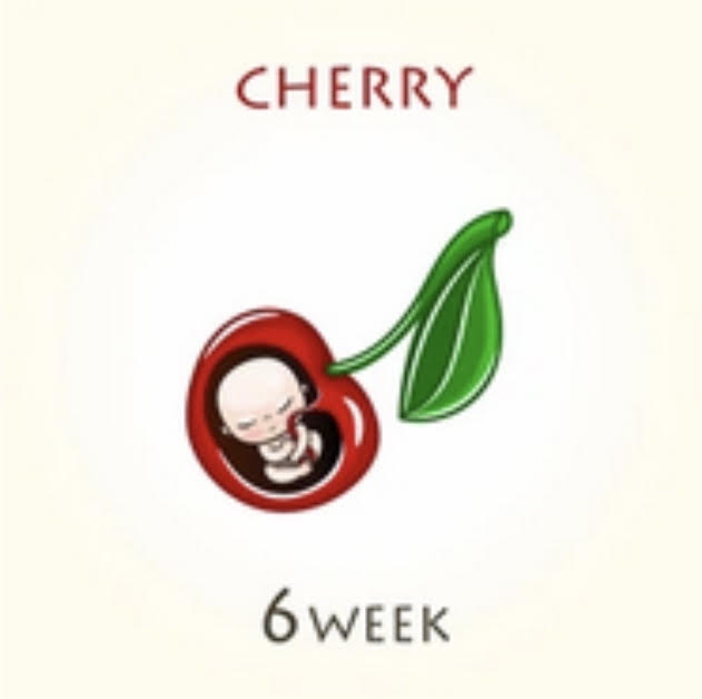 6 week