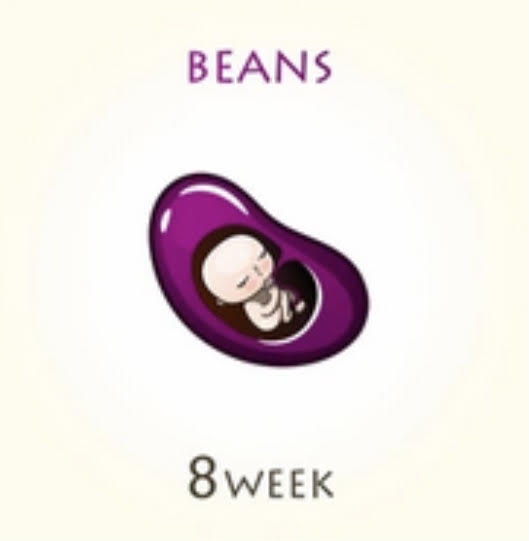 8 week