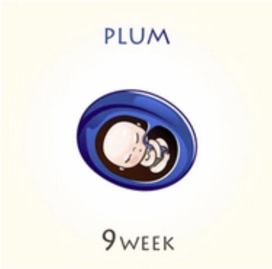 9 week